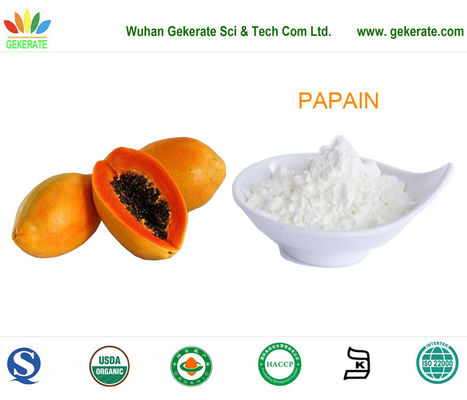 Protease super da pureza do Papain refinado do fruto da papaia, enzimas do alimento